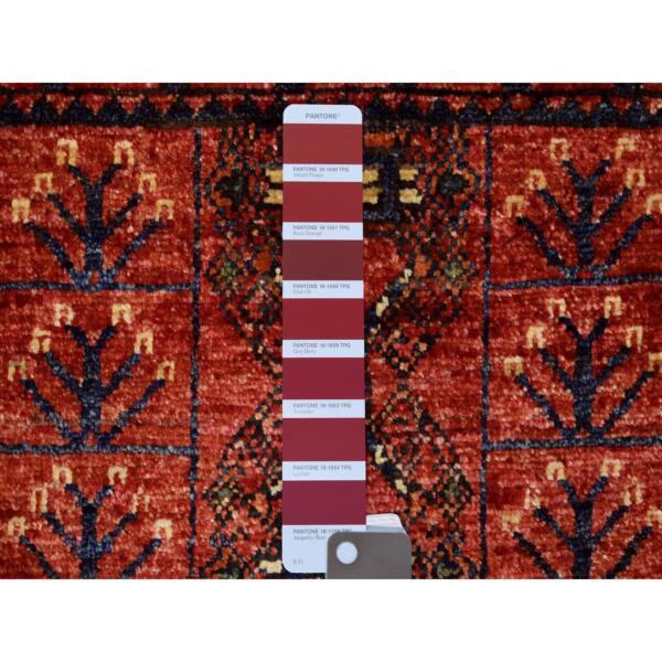 2'x3' Coral Red Turkeman Ersari with Tribal Design, Natural Dyes, Hand Knotted, Pure Wool Oriental Rug  - 71006 - Image 4